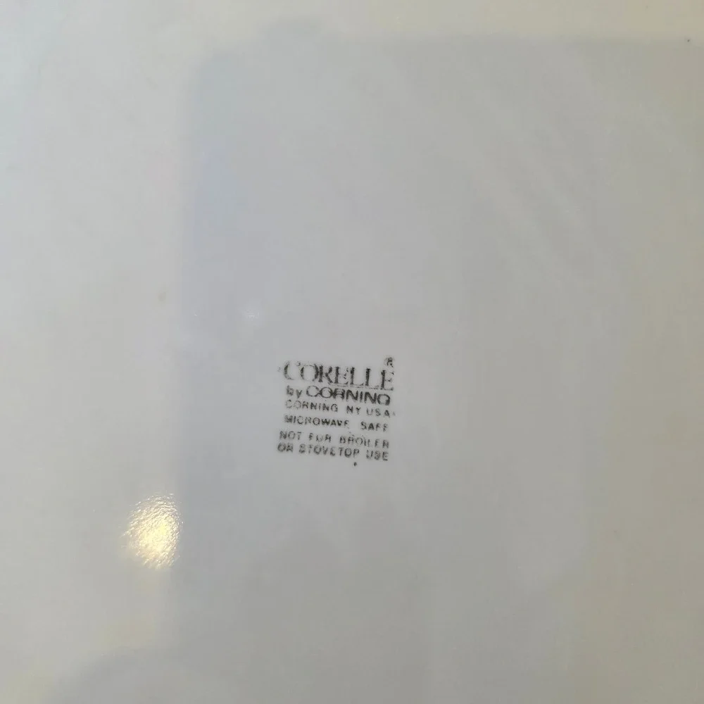 Set of 2 Corelle by Corning Country Promenade Goose Dinner Plate  Vintage USA